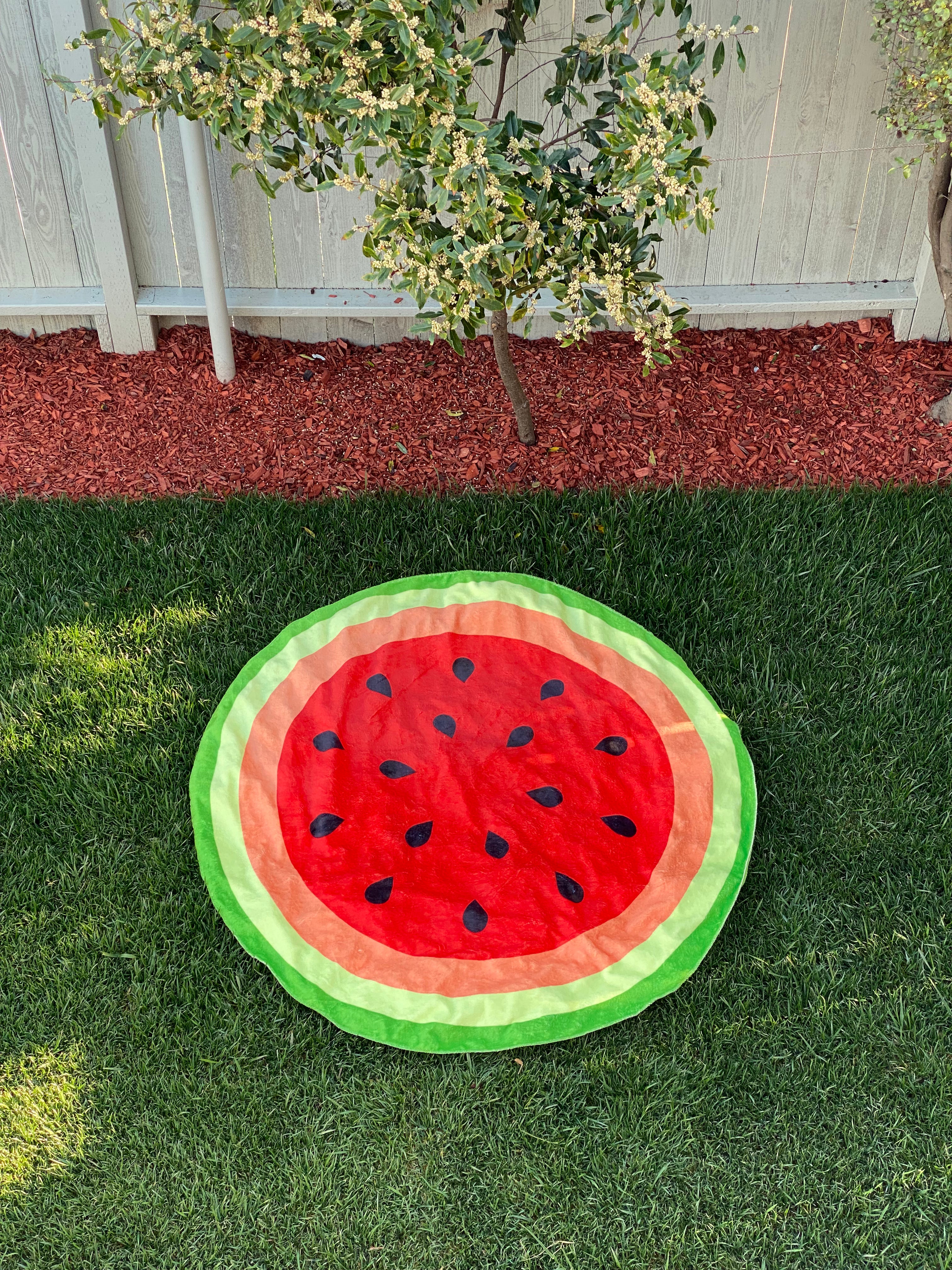 Double-Sided Watermelon / Kiwi Blanket