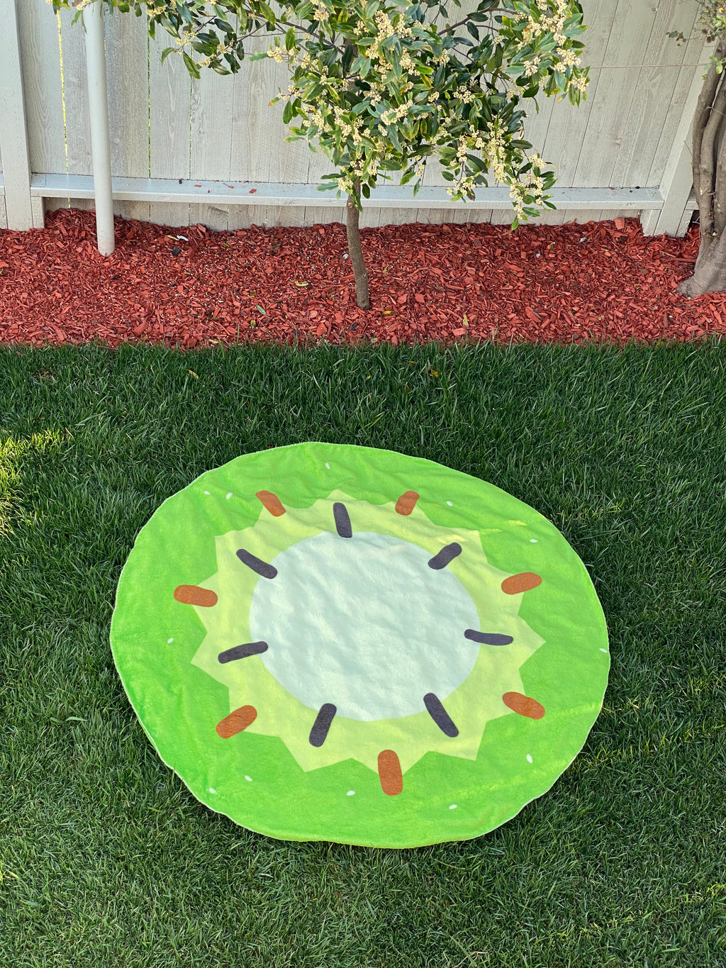 Double-Sided Watermelon / Kiwi Blanket