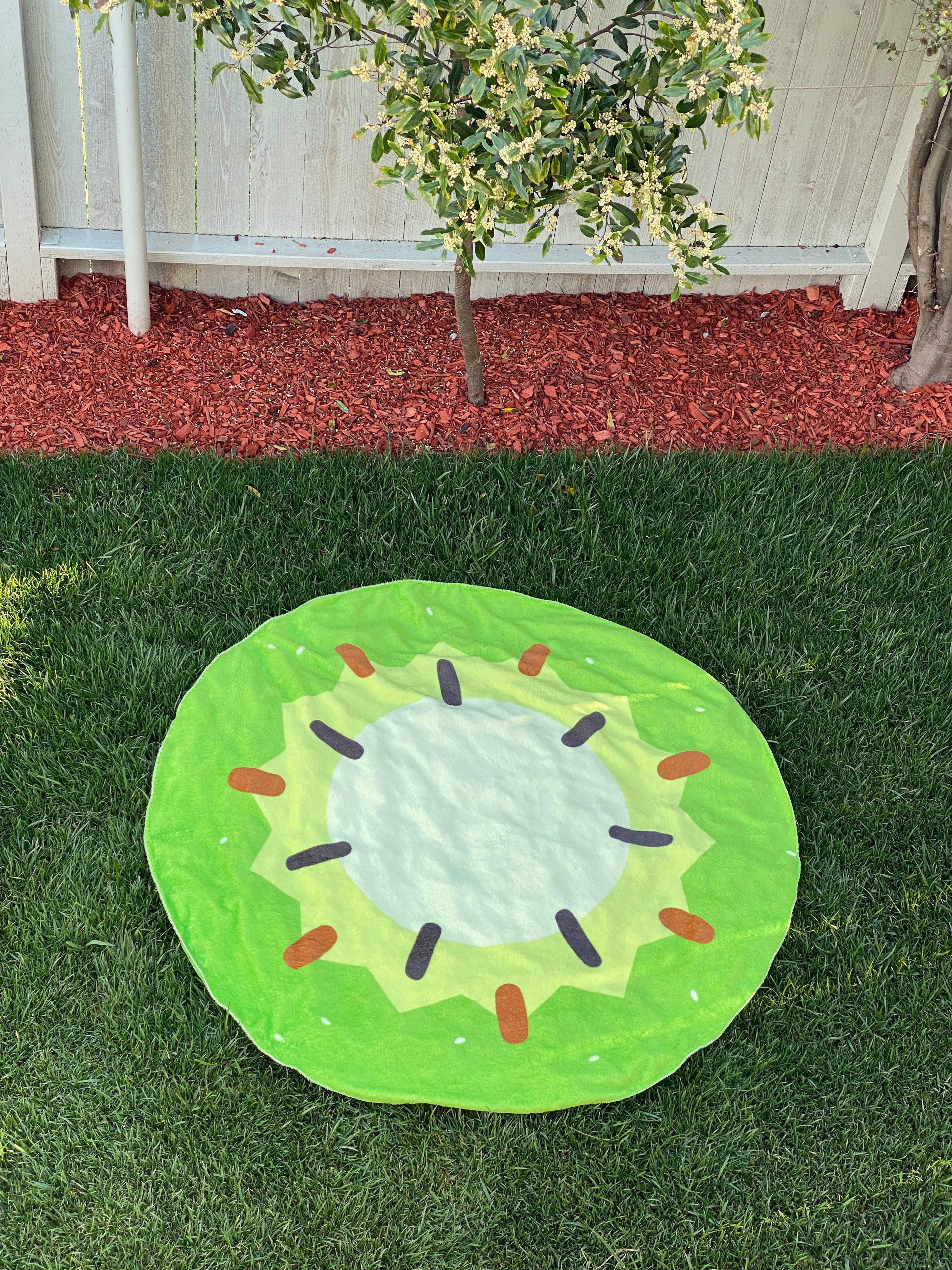 Double-Sided Watermelon / Kiwi Blanket