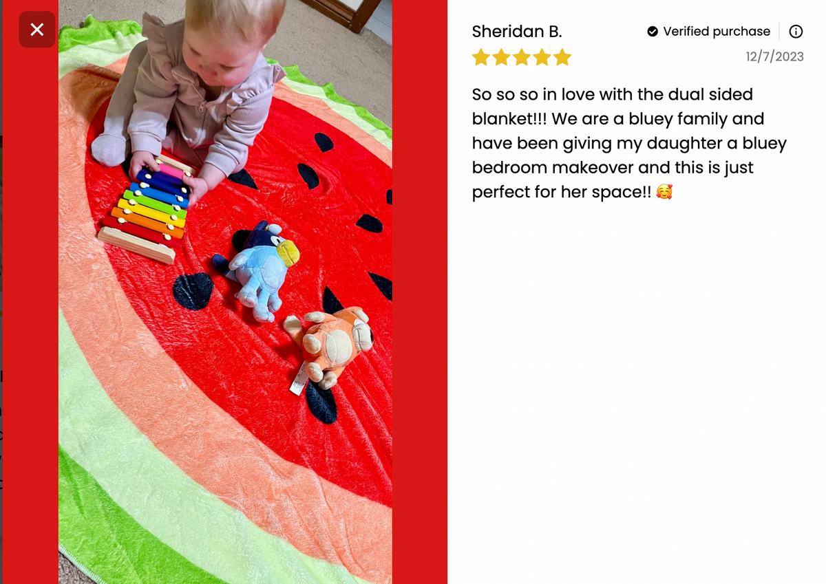 Double-Sided Watermelon / Kiwi Blanket