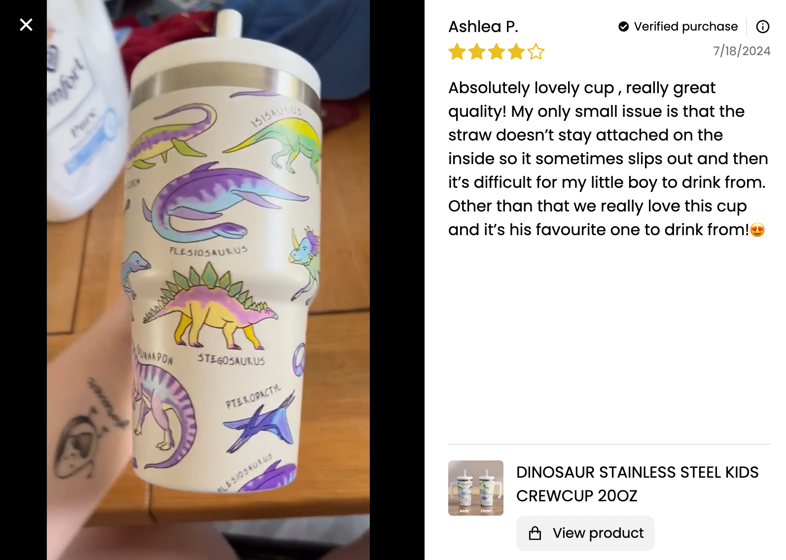 Dinosaur Spill Proof Kids CREWCUP 20oz