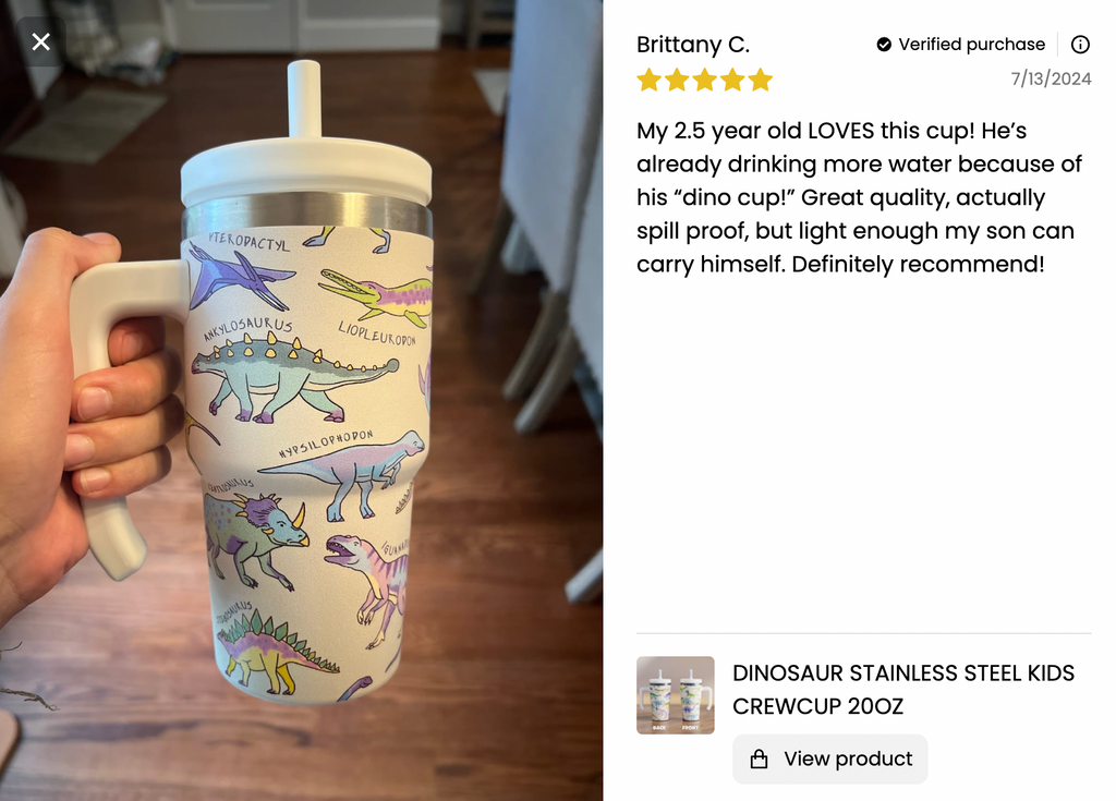 Dinosaur Spill Proof Kids CREWCUP 20oz