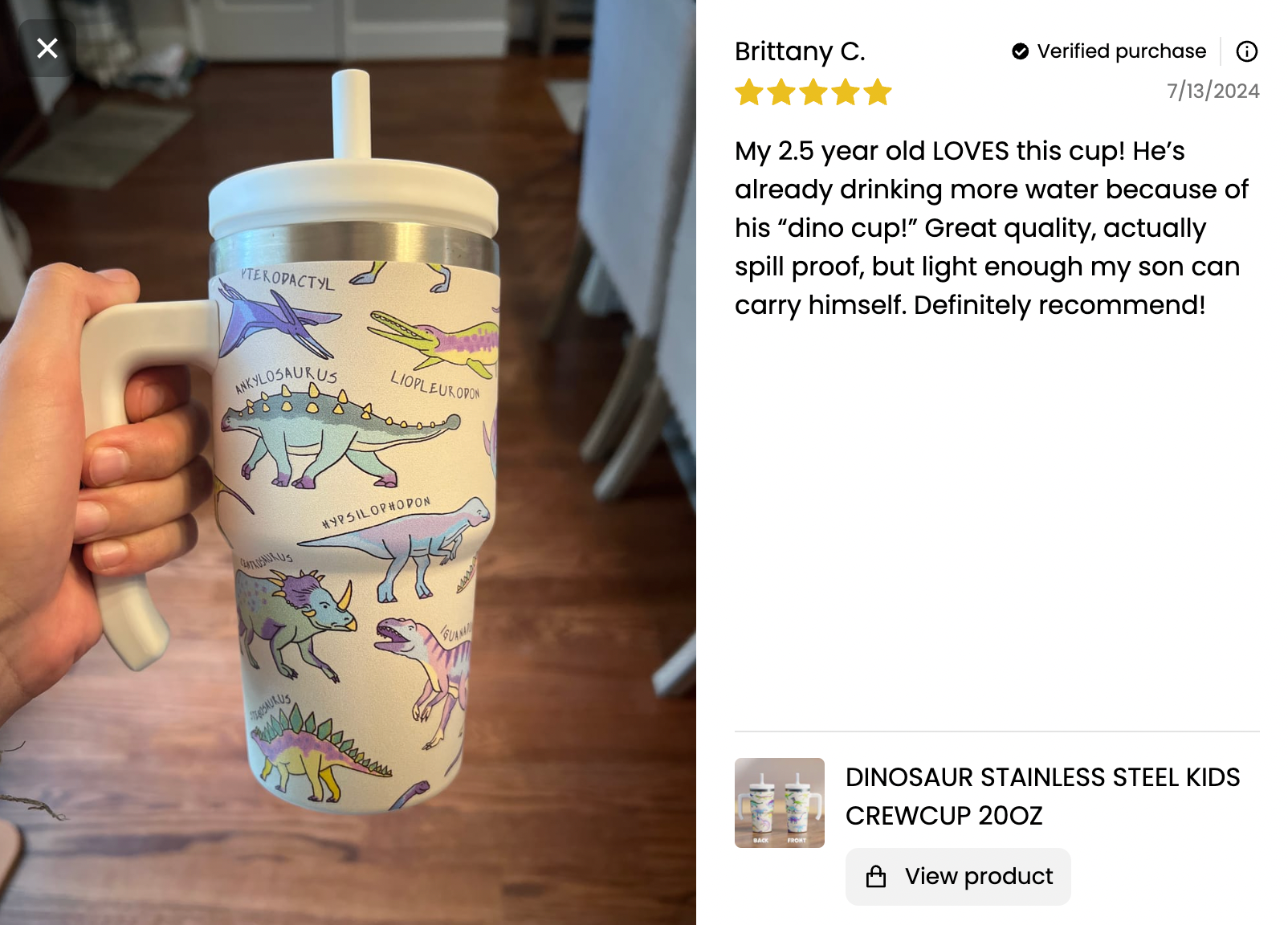 Dinosaur Spill Proof Kids CREWCUP 20oz