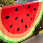 Double-Sided Watermelon / Kiwi Blanket