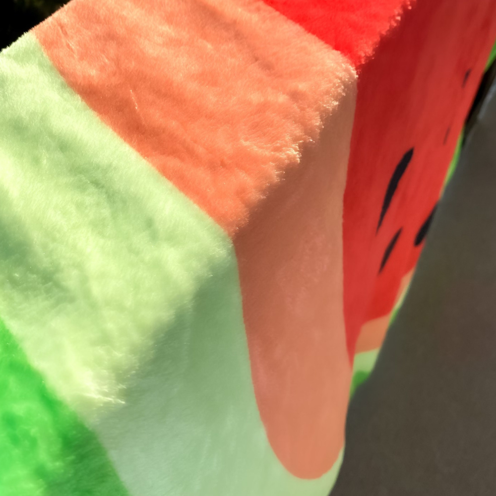 Double-Sided Watermelon / Kiwi Blanket